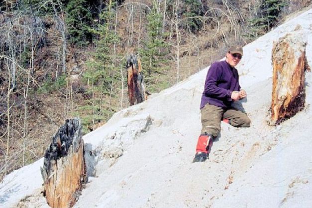 Researcher in White River Ash. Note the charred tree stumps from the eruption. http://www.adn.com/article/ash-ancient-alaska-volcanoes-turning-across-globe