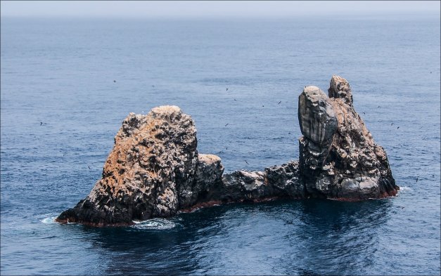 This is the third and smallest of the four Revillagigedo islands, ROCA PARTIDA. The Roca Partida islet is also the summit of an underwater volcano. Erosion over millennia reduced Roca Partida to a two-peaked sea stack, covered by the guano of zillions of sea birds. 2012. (© Rodrigo Friscione Wyssmann)