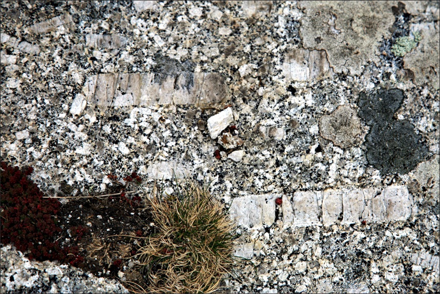 Coarse-grained granite with large alkali feldspar megacrysts, Dartmoor, U.K. (© Ian Stimpson, via Wikimedia)
