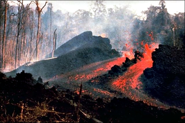 Incandescent lava flow from an east-flank fissure of Ulawun. Explosive activity took place from the summit crater of Ulawun May 7-13, accompanied by pyroclastic flows from a fissure high on the SE flank on May 9. The lava flow seen here was emitted from fissures on the lower east flank about 5 km from the summit on May 10-14. At least a dozen vents were active during one of the first observed flank eruptions in Papua New Guinea. The lava flow traveled 6 km to the Pandi River. (© K. Spellmeyer, 1978, via GVP).