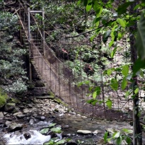 Jungle rope bridge in Rincón de la Vieja National Park (© RTWMagazine, via tripadvisor.com)