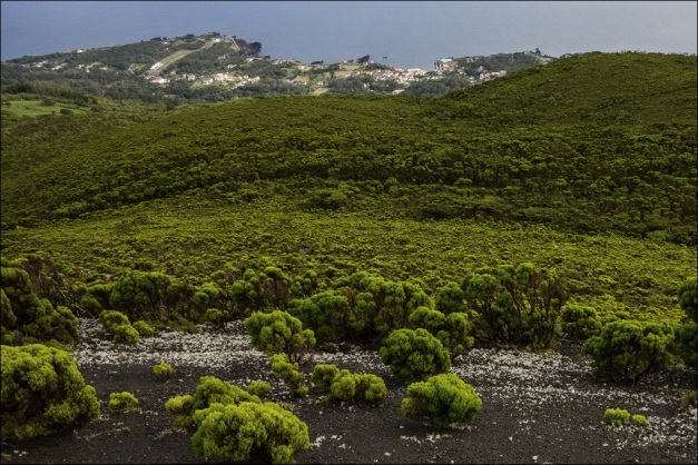 Looking south down the slope, along the path followed by the PDC on 17 May 1808 from Bocas de Fogo to Urzelina. (From: N. Wallenstein et al., 2018)