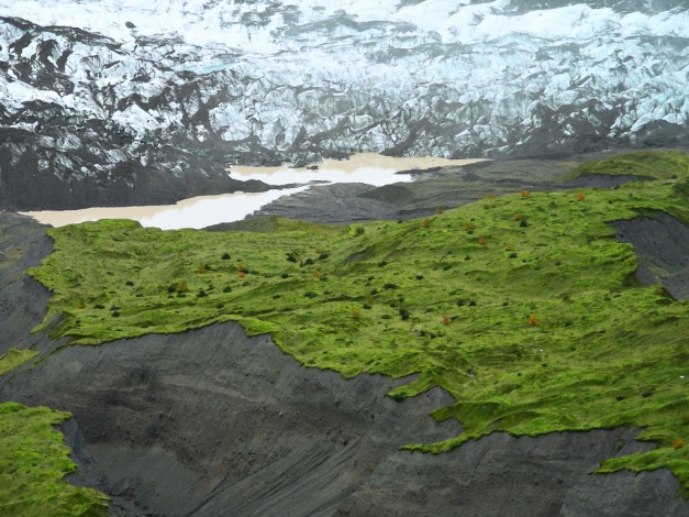 The fertile but unstable ash on the volcano also harbors green plains. (© Camilo Rada)